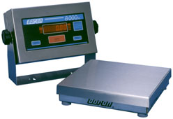 Fishing tournament Weigh In scales