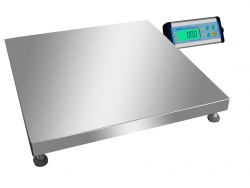 Scales Certified And Built For Wrestling Tournament Weigh-In's