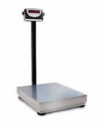 Digi Bench Scale w/ 120 Digital Indicator