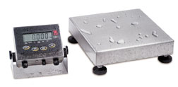 OHAUS CHAMP SQ Washdown
