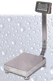 Economical Washdown Scale